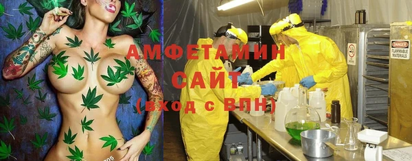 PSILOCYBIN Алзамай