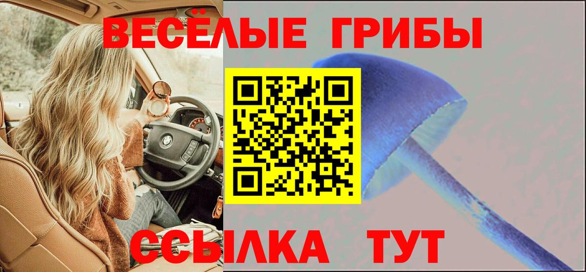 Соликамск  Галлюциногенные грибы GOLDEN TEACHER  Вход с VPN 