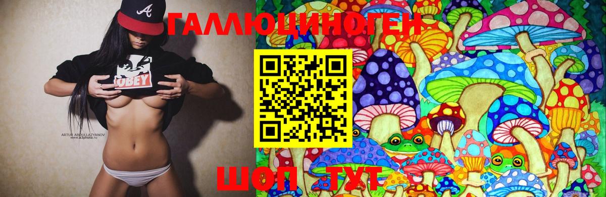 Псилоцибиновые грибы мицелий Соликамск